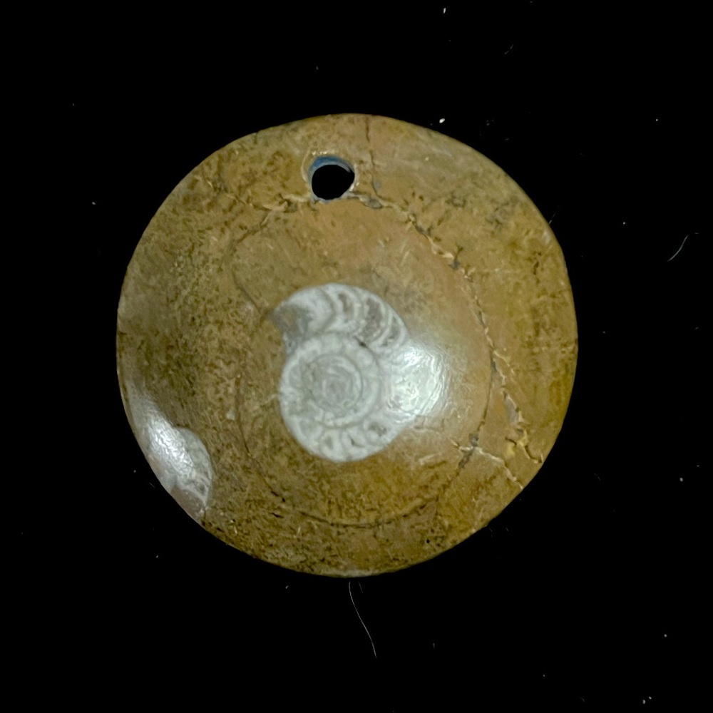 Fossil ammonite pendant. Natural polished carved piece